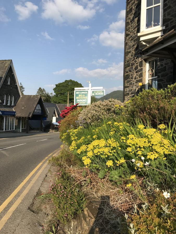 Bryn Llewelyn Bed & Breakfast เบเทส-อี-คอย ภายนอก รูปภาพ